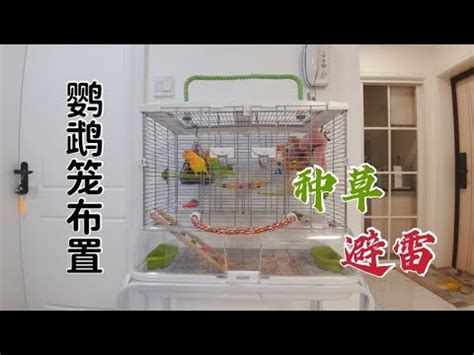 鳥籠佈置